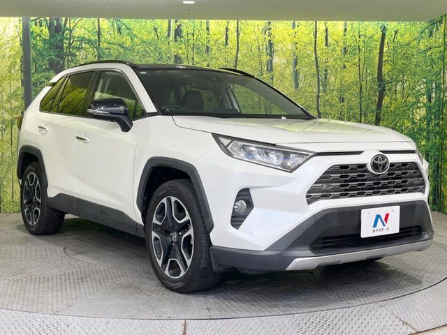 TOYOTA RAV4 4WD 2019