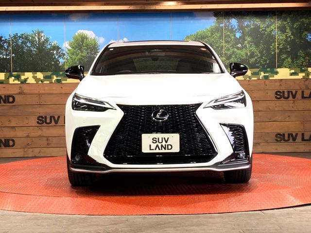 TOYOTA LEXUS NX450h+ AWD 2023