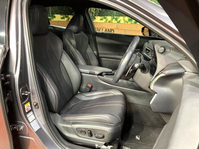 TOYOTA LEXUS UX250h 2019