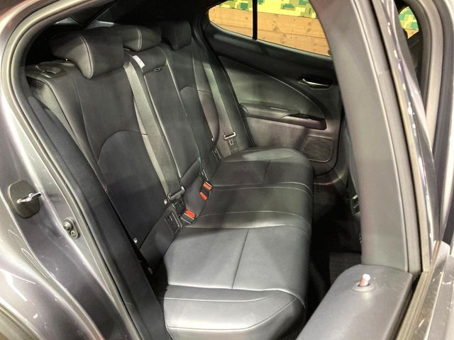 TOYOTA LEXUS UX250h 2019