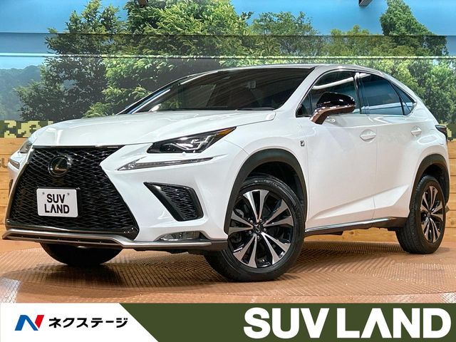 TOYOTA LEXUS NX300 2018