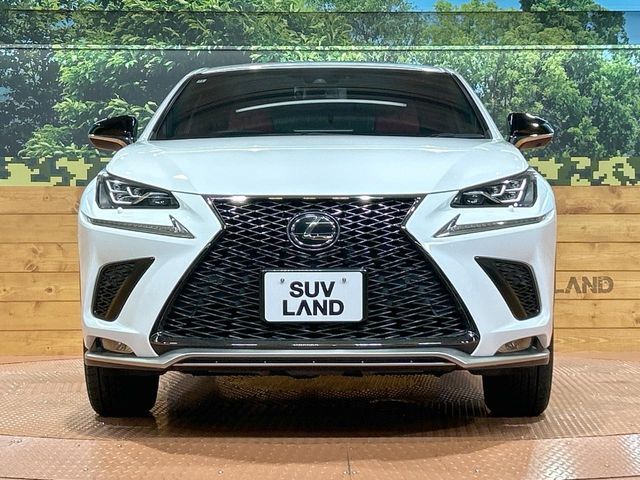 TOYOTA LEXUS NX300 2018