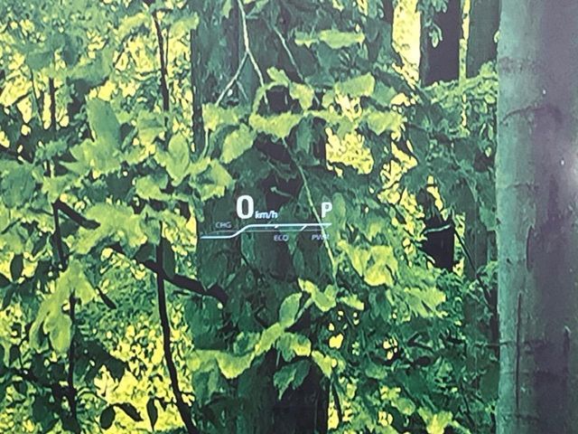 TOYOTA CROWN sedan hybrid 2019