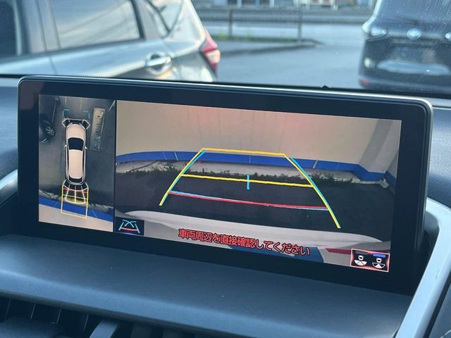 TOYOTA LEXUS NX300h AWD 2019