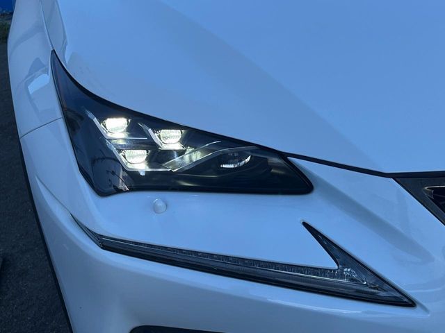 TOYOTA LEXUS NX300h AWD 2019