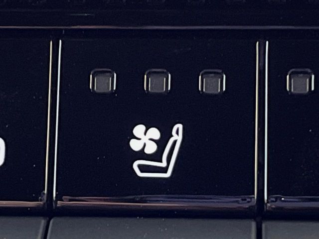 TOYOTA LANDCRUISER 250 2024