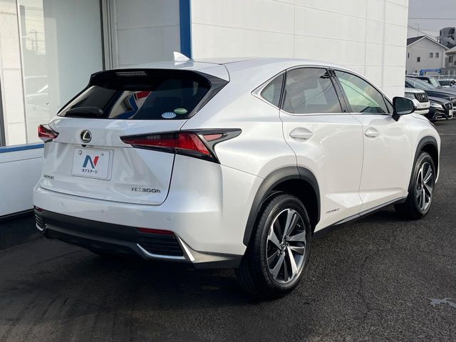 TOYOTA LEXUS NX300h 2018