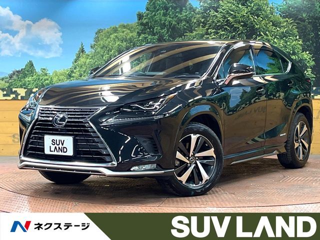TOYOTA LEXUS NX300h 2021