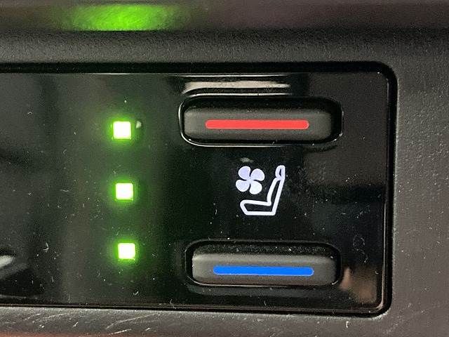 TOYOTA RAV4 4WD 2023