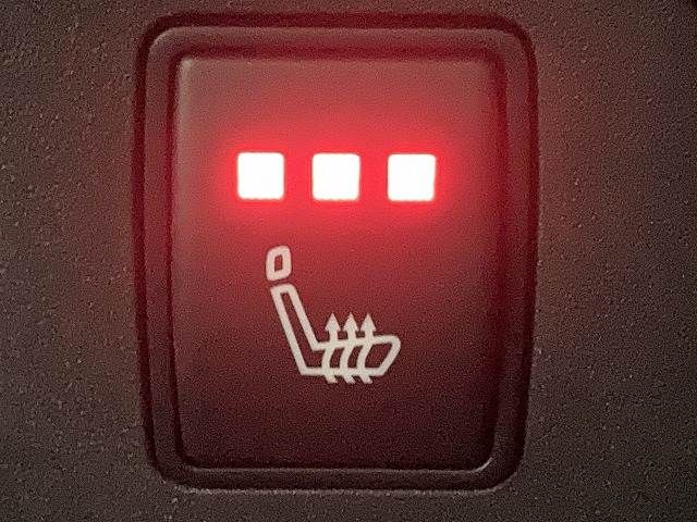 NISSAN X-TRAIL HYBRID 4WD 2022