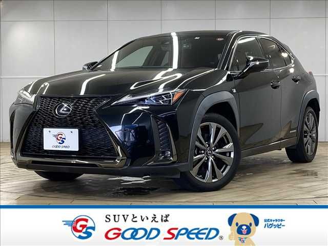 TOYOTA LEXUS UX250h 2019