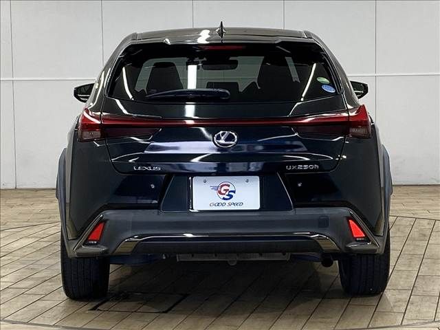 TOYOTA LEXUS UX250h 2019