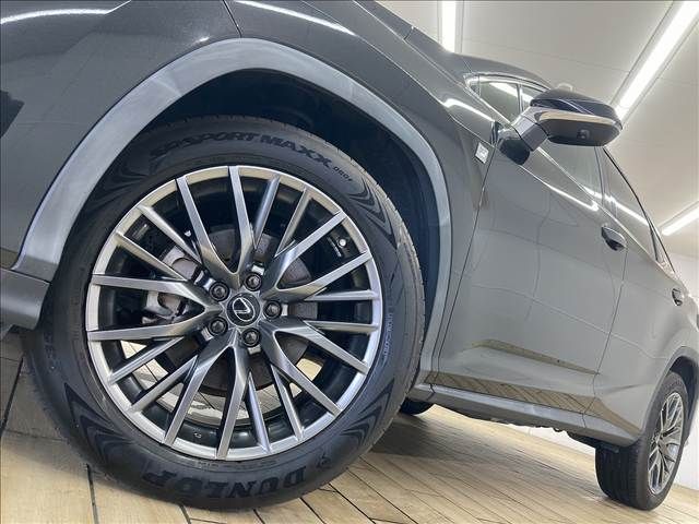 TOYOTA LEXUS RX300 2020