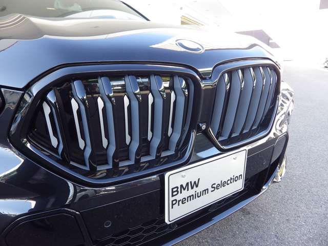 BMW BMW X6 2021