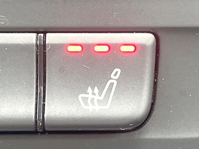 AMG AMG A class 2013