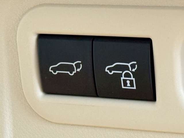 TOYOTA ???? LM500h 2024