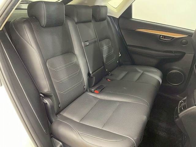 TOYOTA LEXUS NX300h 2018