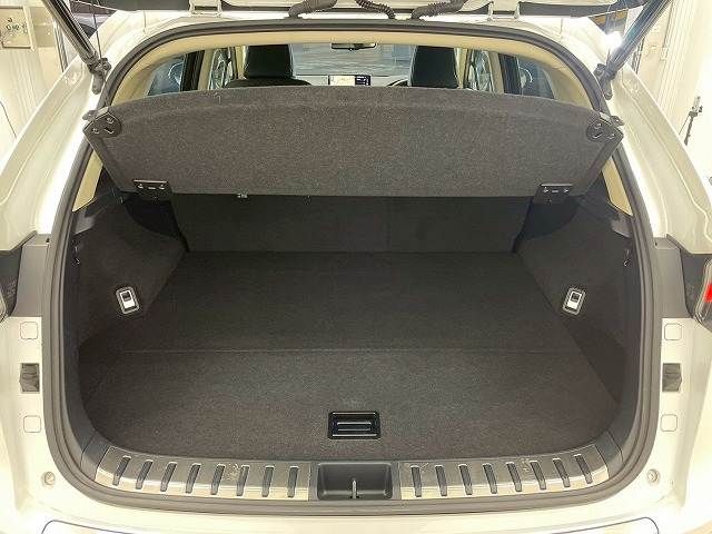 TOYOTA LEXUS NX300h 2018