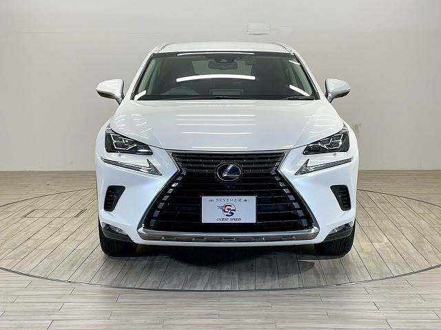 TOYOTA LEXUS NX300h 2018