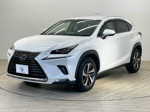 TOYOTA LEXUS NX300h 2018