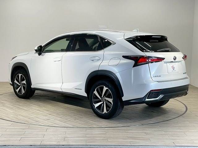 TOYOTA LEXUS NX300h 2018
