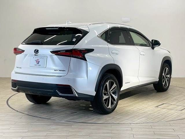 TOYOTA LEXUS NX300h 2018