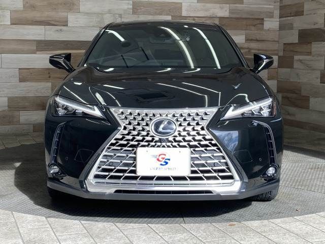 TOYOTA LEXUS UX250h 2023