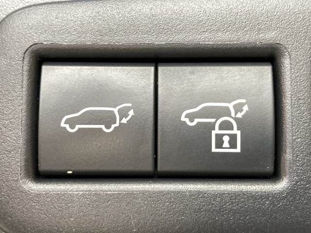 TOYOTA LEXUS UX250h 2023