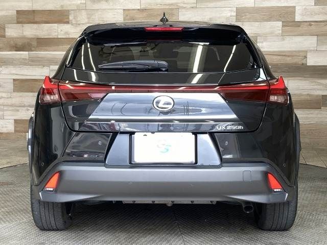 TOYOTA LEXUS UX250h 2023
