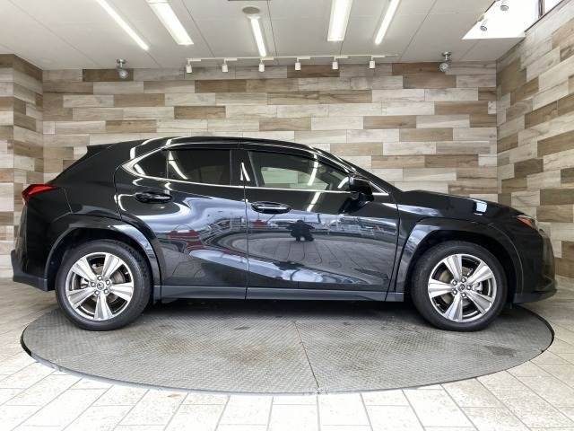 TOYOTA LEXUS UX250h 2023