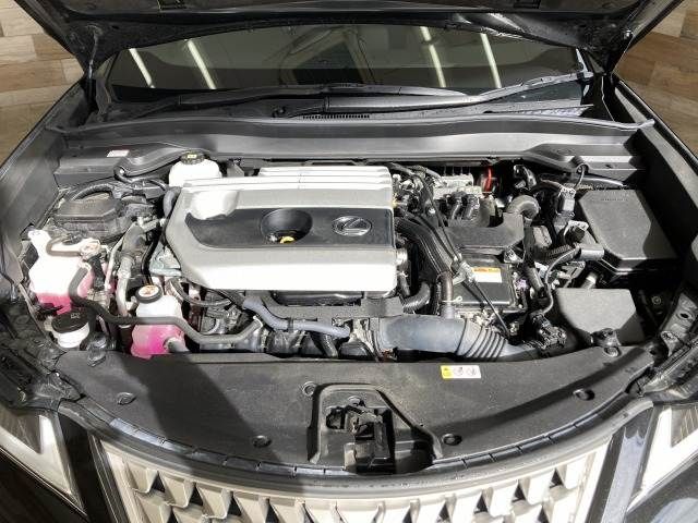 TOYOTA LEXUS UX250h 2023