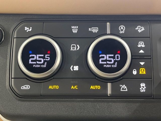 ROVER ROVER DEFENDER 2025