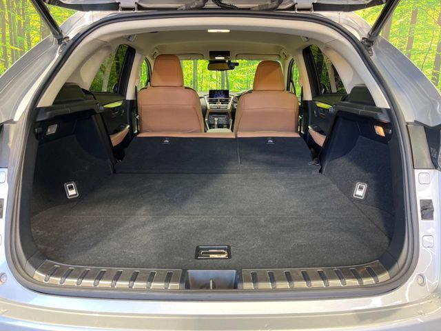 TOYOTA LEXUS NX200t 2017