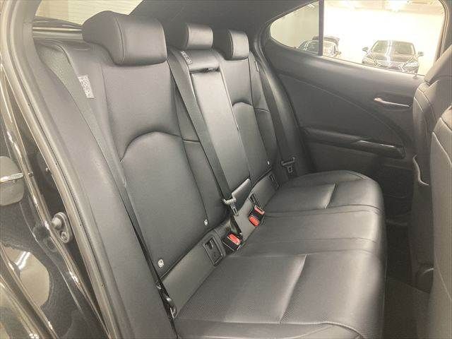 TOYOTA LEXUS UX300e 2022