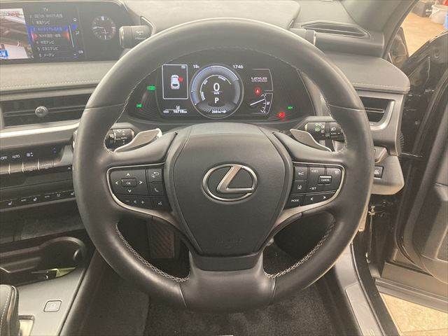 TOYOTA LEXUS UX300e 2022