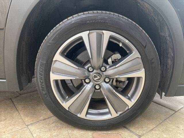 TOYOTA LEXUS UX300e 2022