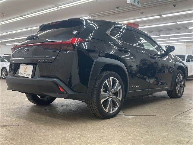 TOYOTA LEXUS UX300e 2022