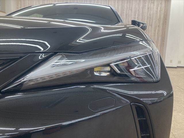 TOYOTA LEXUS UX300e 2022