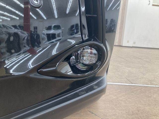 TOYOTA LEXUS UX300e 2022