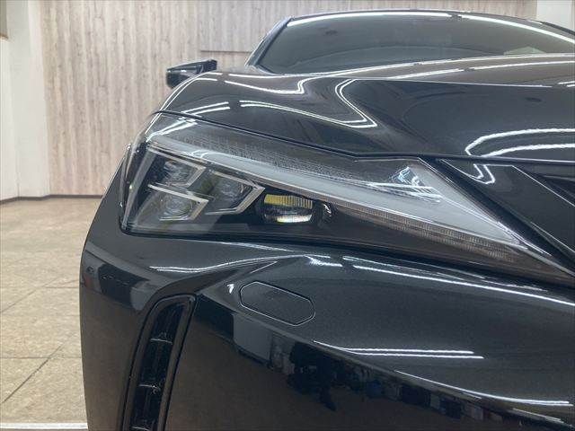 TOYOTA LEXUS UX300e 2022