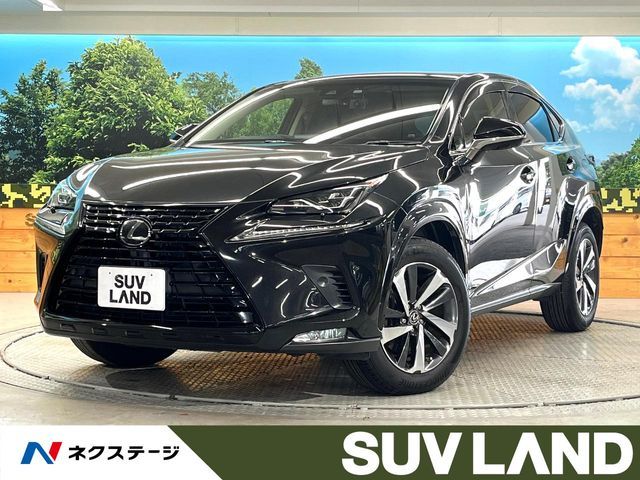 TOYOTA LEXUS NX300 2018
