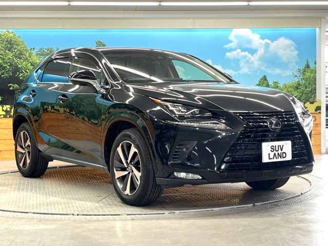 TOYOTA LEXUS NX300 2018