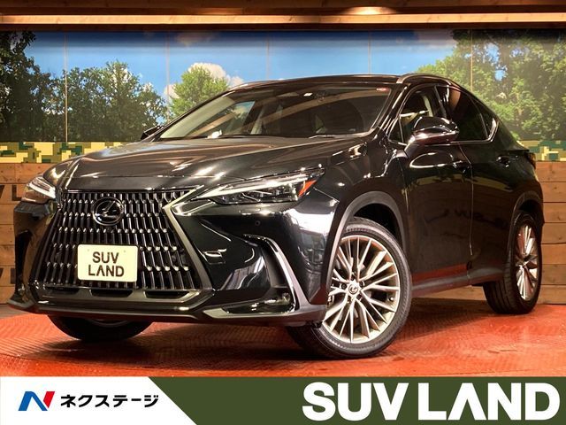 TOYOTA LEXUS NX250 2023