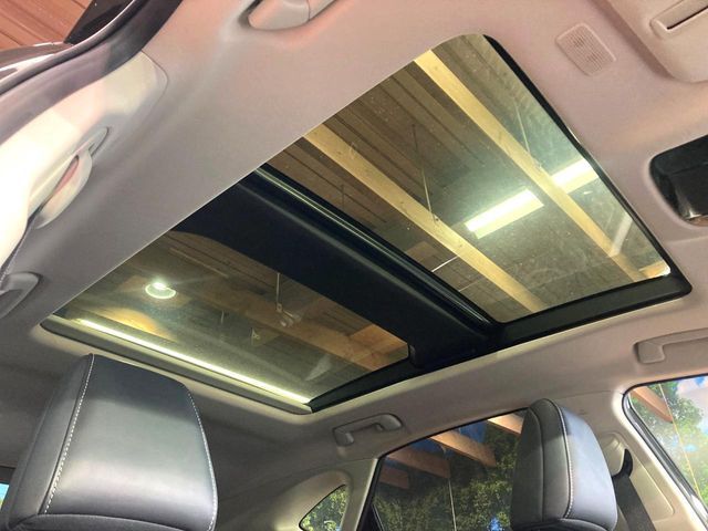 TOYOTA LEXUS NX250 2023