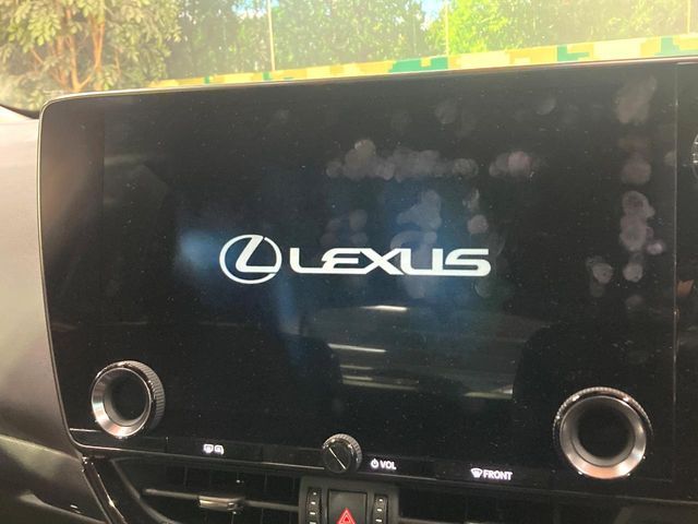 TOYOTA LEXUS NX250 2023