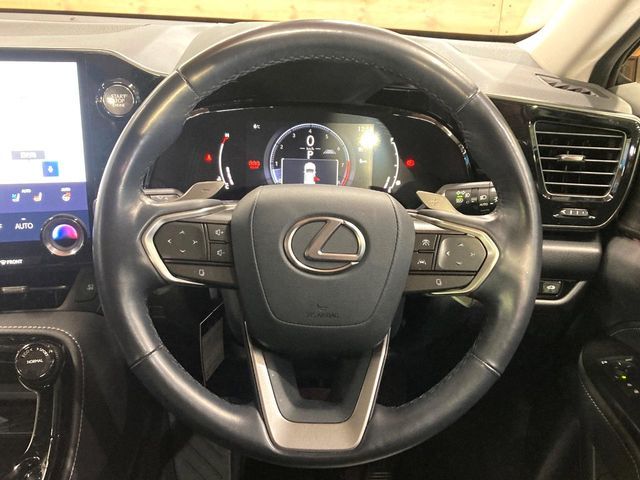 TOYOTA LEXUS NX250 2023