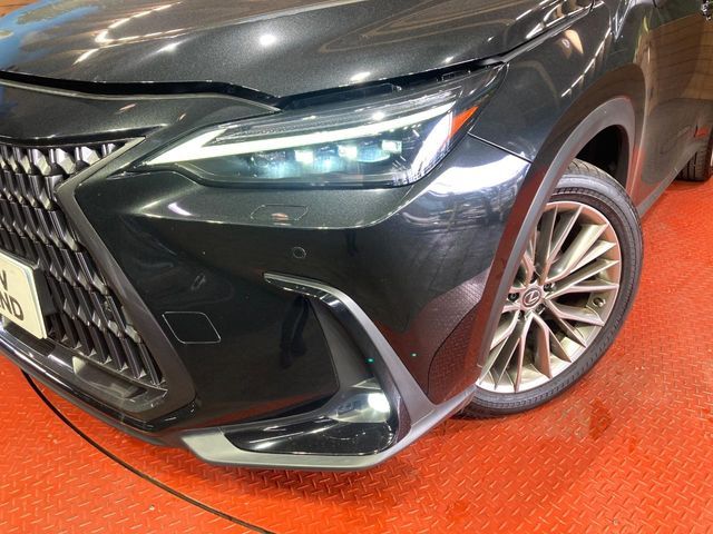 TOYOTA LEXUS NX250 2023