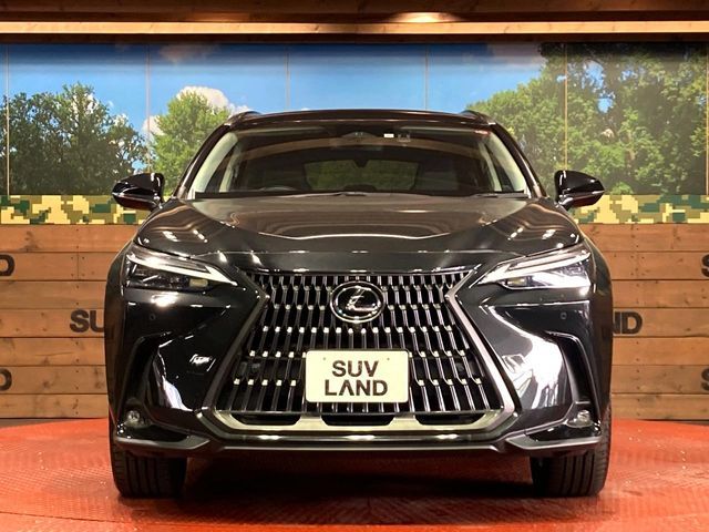 TOYOTA LEXUS NX250 2023