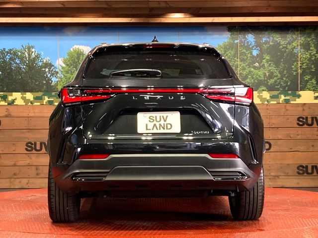 TOYOTA LEXUS NX250 2023