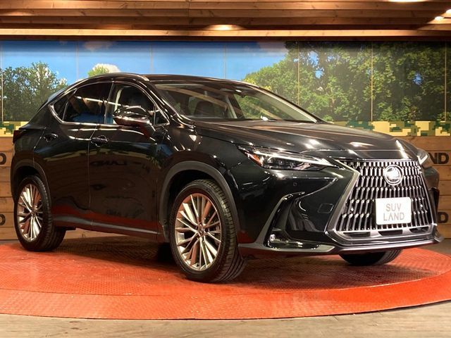 TOYOTA LEXUS NX250 2023